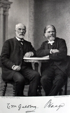 Ley de Acción de las masas