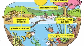 Timeline: HISTORIA DE LOS ECOSISTEMAS