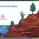 Evolucin de las plantas