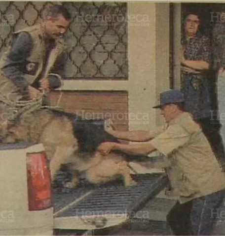 Priest Orantes captured for Gerardi's death