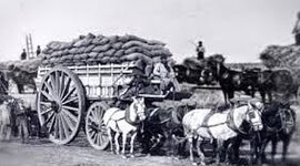 Timeline: Transformaciones socioeconómicas en el ámbito rural-urbano
