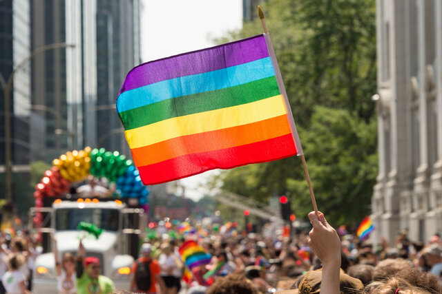 Los estudios lésbico - gay (Abelove 1993)