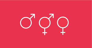 Estudios sobre diversidad sexual (Plummer 1992)