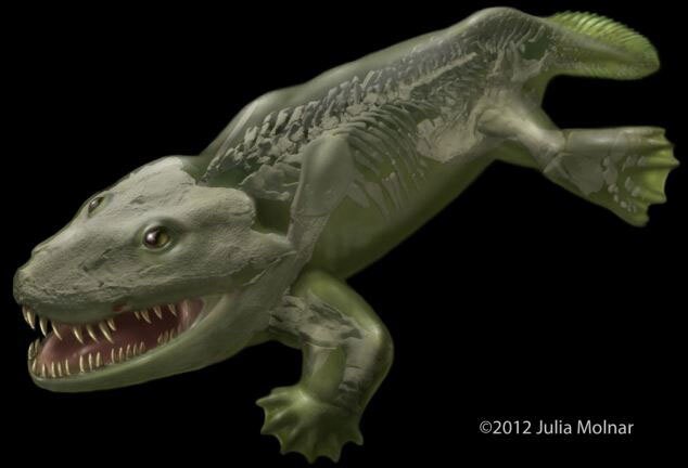 Evolución de los animales vertebrados