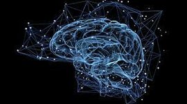 Timeline: Desarrollo histórico de la neuropsicología