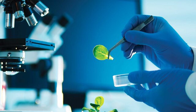 “El efecto social que ha tenido la química a  lo largo de la historia”