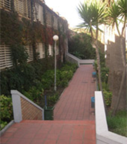 Primer dia de cole en Algeciras