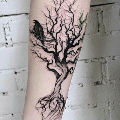 Timeline: Bio como estudiante Evelin