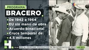 PROGRAMA BRACERO