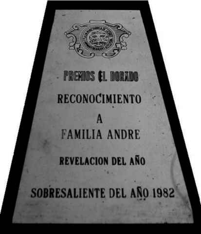 "Revelación del Año  Premio El Dorado