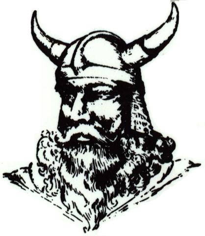 Vikings Discover the New World