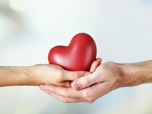 La felicidad y el sentido de la vida II