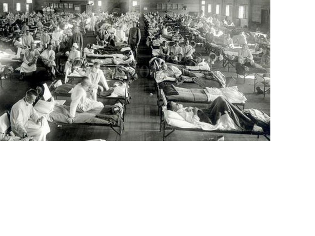 1871- Epidemia de fiebre amarrilla