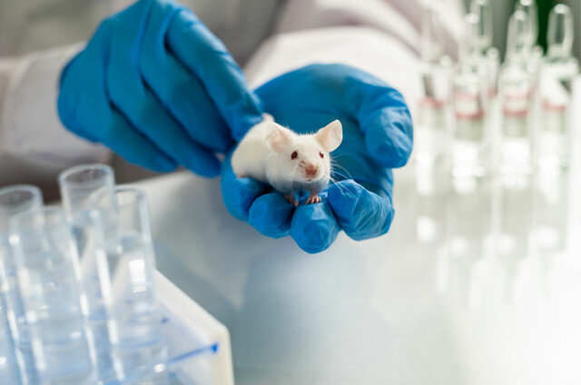 Actualidad y relación 2