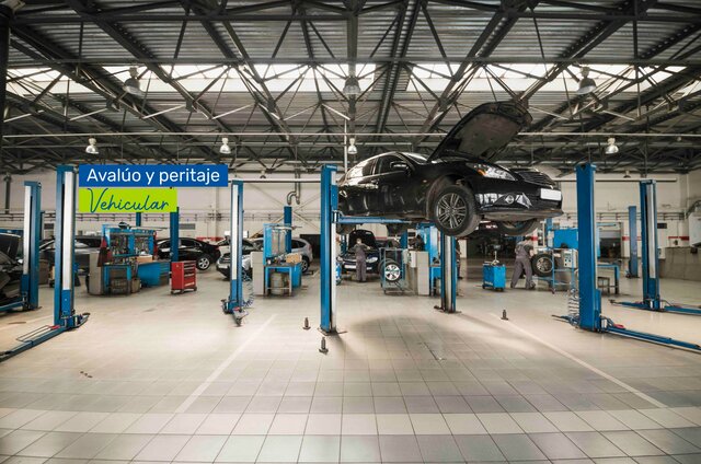 Creación de la empresa Colserauto