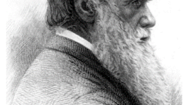 Timeline: Charles Darwin (1808-1882)