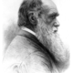 Charles darwin