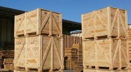 Timeline: Historia del embalaje. Andrea Diaz