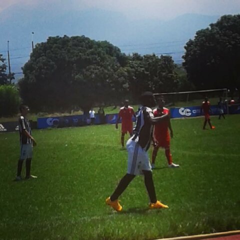 semifinal national tournament 2014