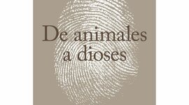 Timeline: Introducción