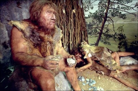 Extinción de los neandertales