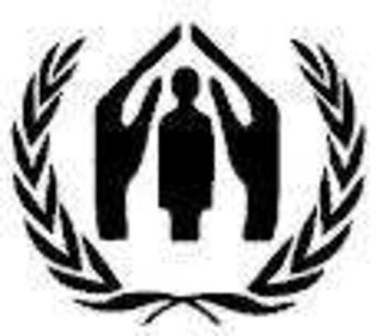 Asamblea General de las Naciones Unidas