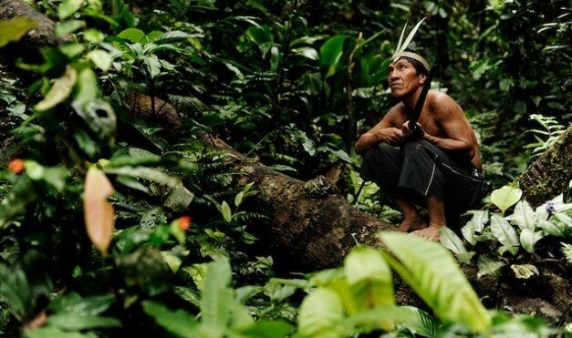 Legado de Culturas Indigenas