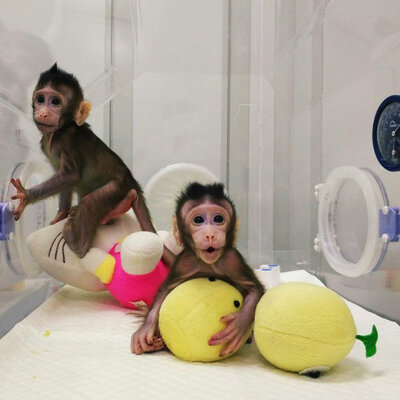 Timeline: LA BIOÉTICA EN UN MUNDO DESTROZADO