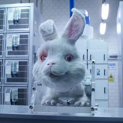 Timeline: Bioética y Experimentación Animal