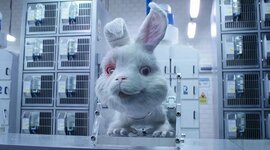 Timeline: Bioética y Experimentación Animal