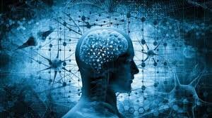 Relación entre ciencia y humanidades