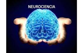 Las últimas decadas...