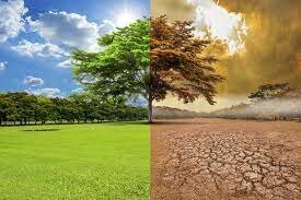 El Cambio Climatico