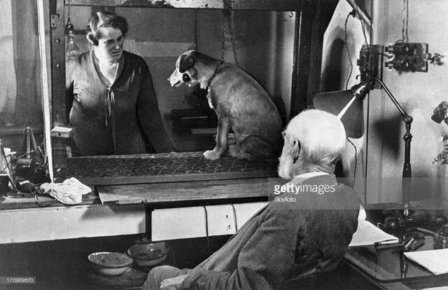 Durante los últimos años del siglo XIX y la primera etapa del XX