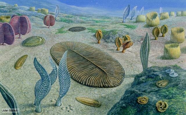 Primeira fauna de metazoários grandes