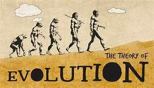 Begin of the Theory of Evolution