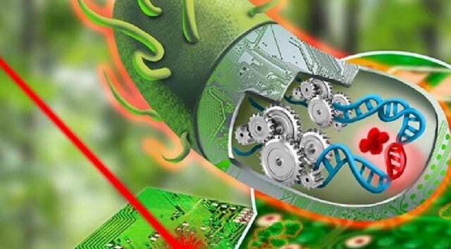 Biología sintética