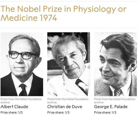 Nobel de Medicina