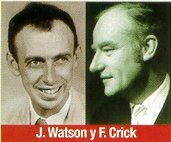 Watson y Crick