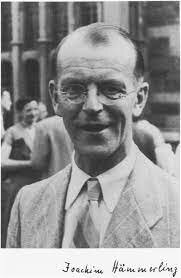 Joachim Hammerling