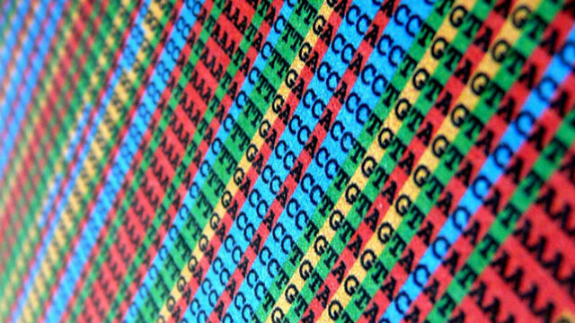 CRISPR