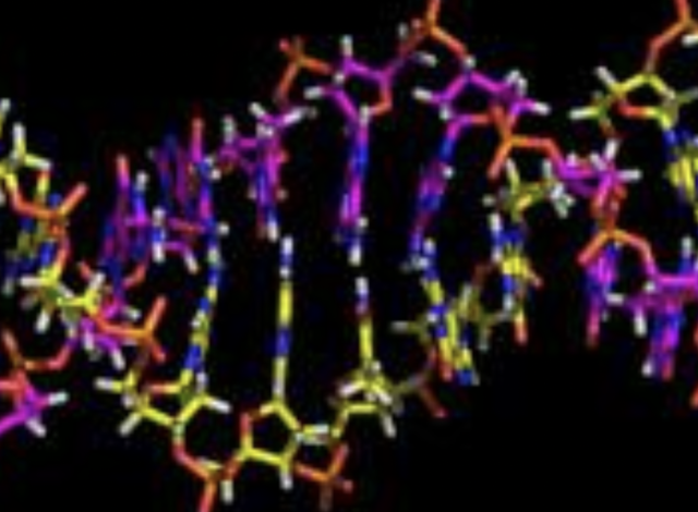 Ampliación del código genético