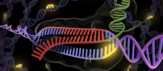 CRISPR (la revolución genética)