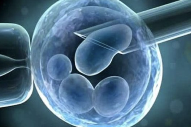 Embriones de tres padres