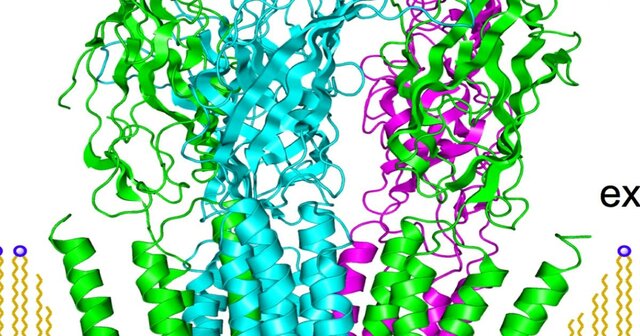 Criomicroscopía electrónica (cryo-EM)