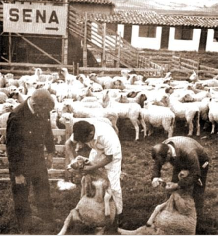 Integración del capaca