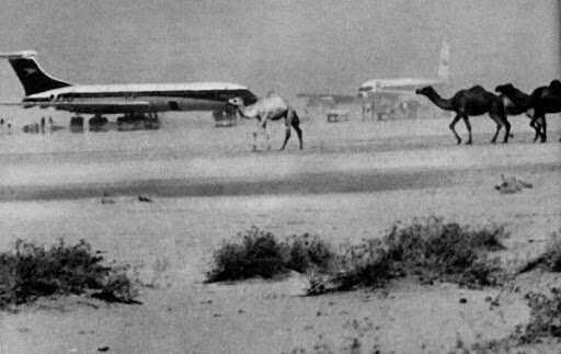1976