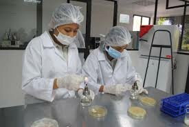 Colciencias