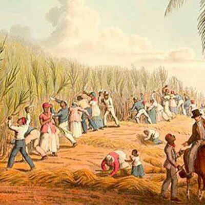 Timeline: La Colonia.