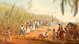 Timeline: La Colonia.